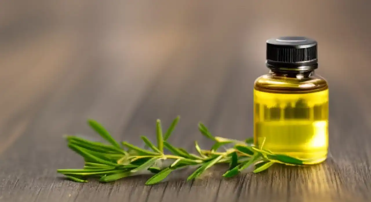 Tea Tree Oil for Hair